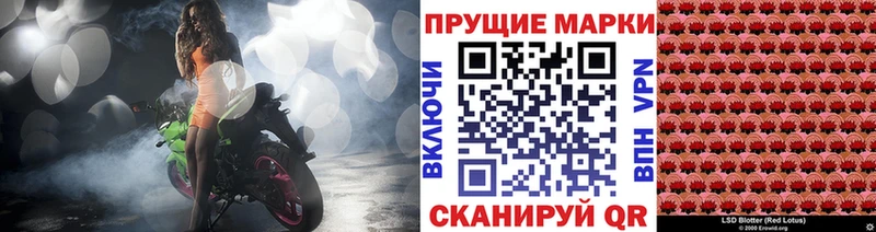 Купить закладки  Шенкурск  Марки 25I-NBOMe 1500мкг 