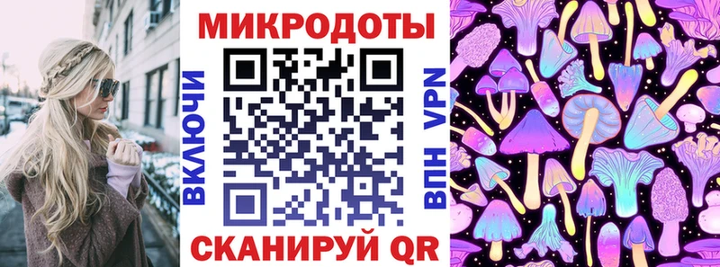 Купить  Шенкурск  Галлюциногенные грибы прущие грибы 