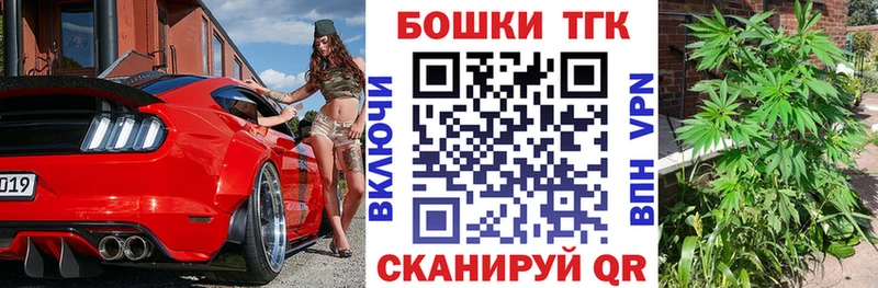 Купить где  Шенкурск  Канабис сатива 