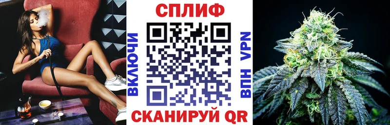 Марихуана OG Kush Шенкурск